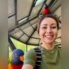 amy_tomlinson